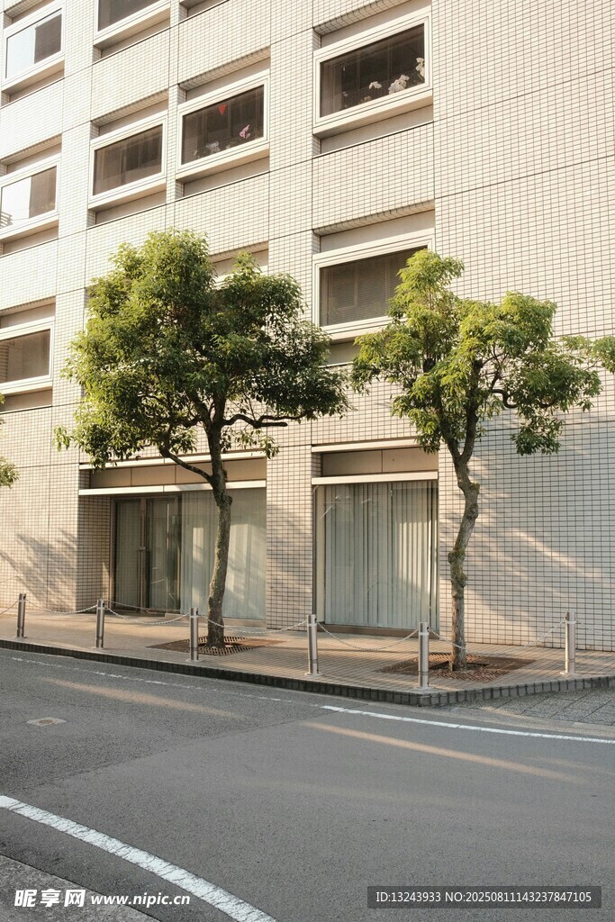 街道旁的樹木與建筑
