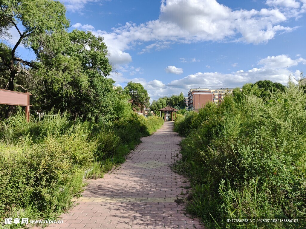 綠意盎然的風景