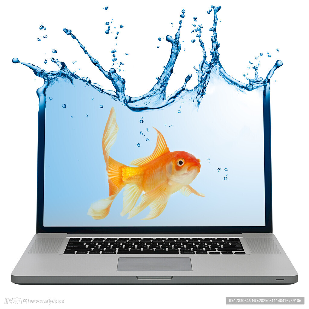 筆記本屏幕中游動的金魚