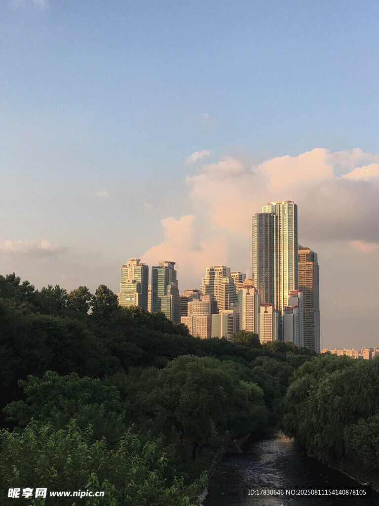 城市天際線與綠植景觀
