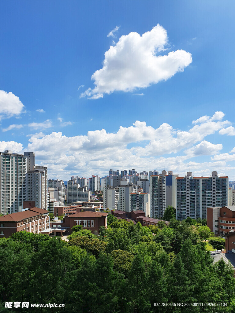 城市綠樹間的藍天白云景觀