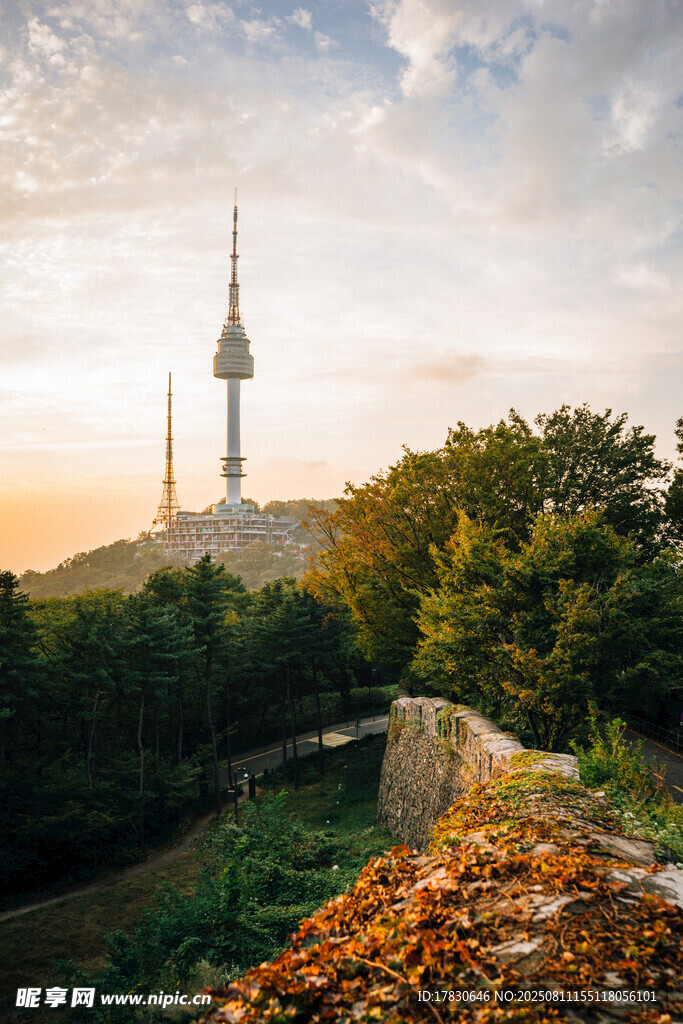夕陽下的高塔與林間美景