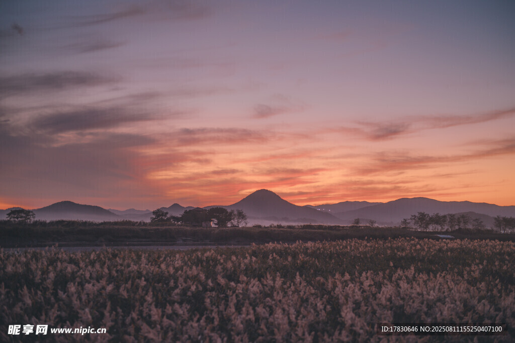 田野上的絢麗日落美景