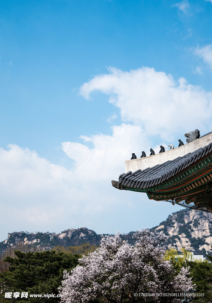 懸崖觀景臺賞春日美景