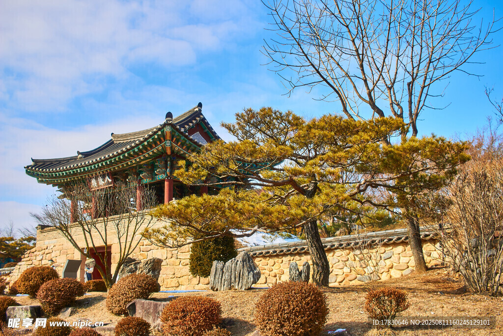 中式古建旁的蒼松與藍(lán)天