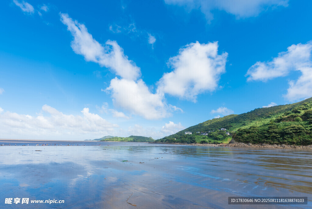 夏日海濱風光