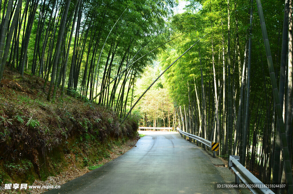 寧波奉化中山公園山上