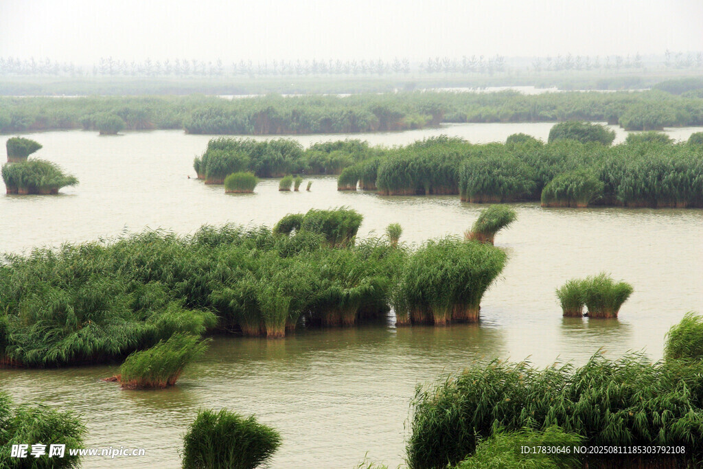 沙湖生態(tài)旅游區(qū)