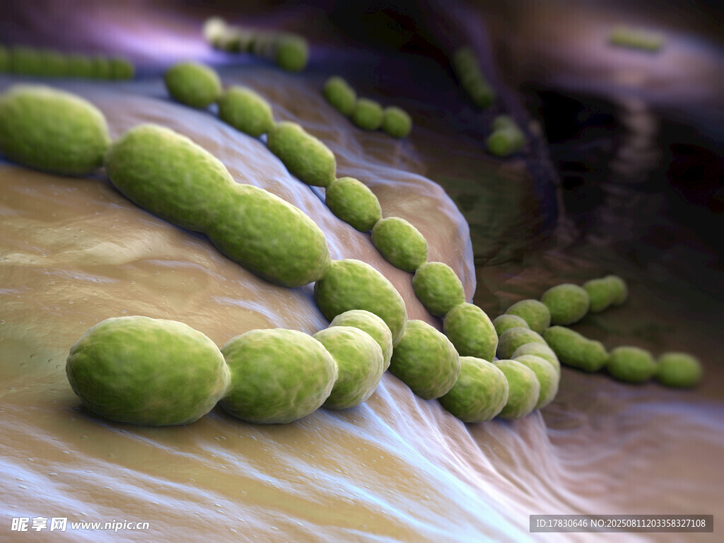 微生物圖片素材