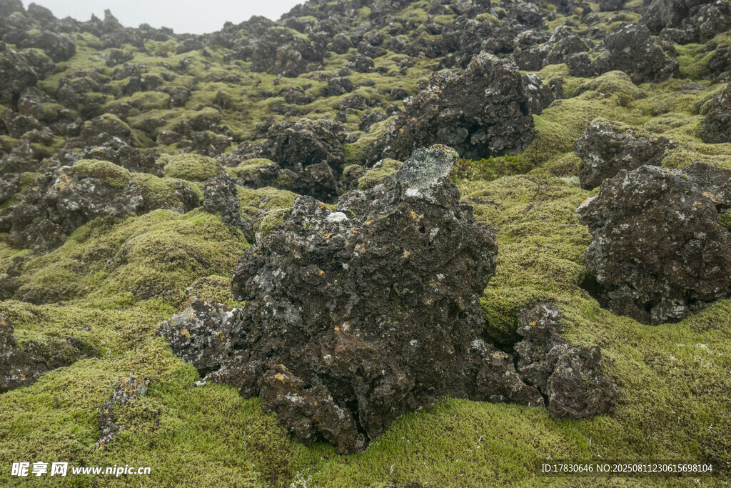 冰島苔蘚覆蓋的嶙峋巖石