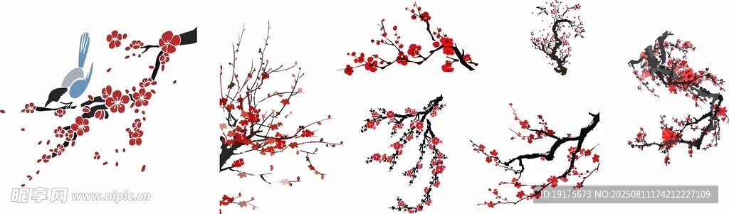 紅梅綻放枝頭美景