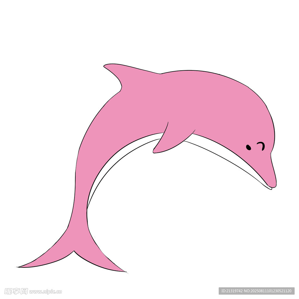 海豚插畫