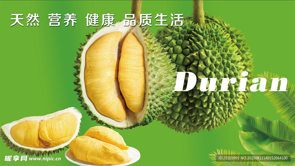 美味榴蓮 開啟健康新生活