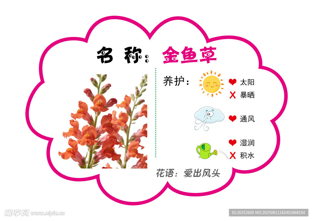 金魚草