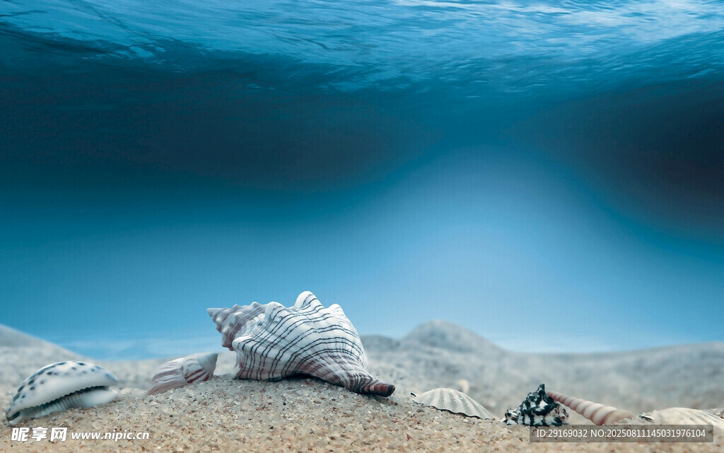海底景象中的神秘物體