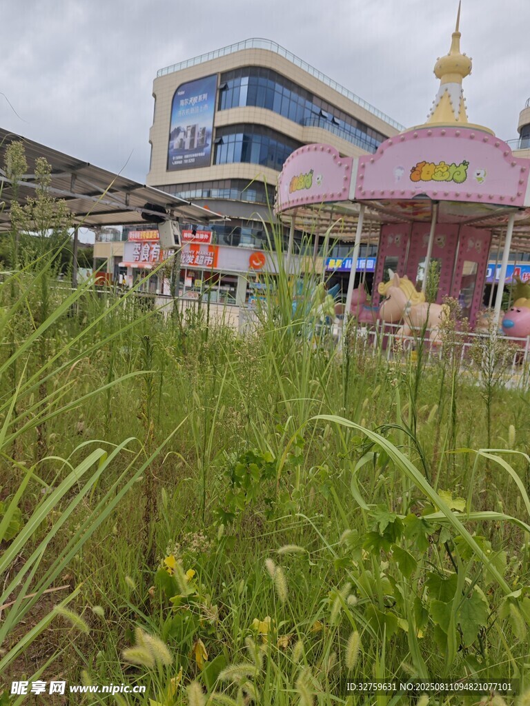 草地旁的多彩建筑景觀