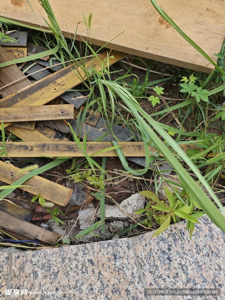破損木板旁生長的綠草