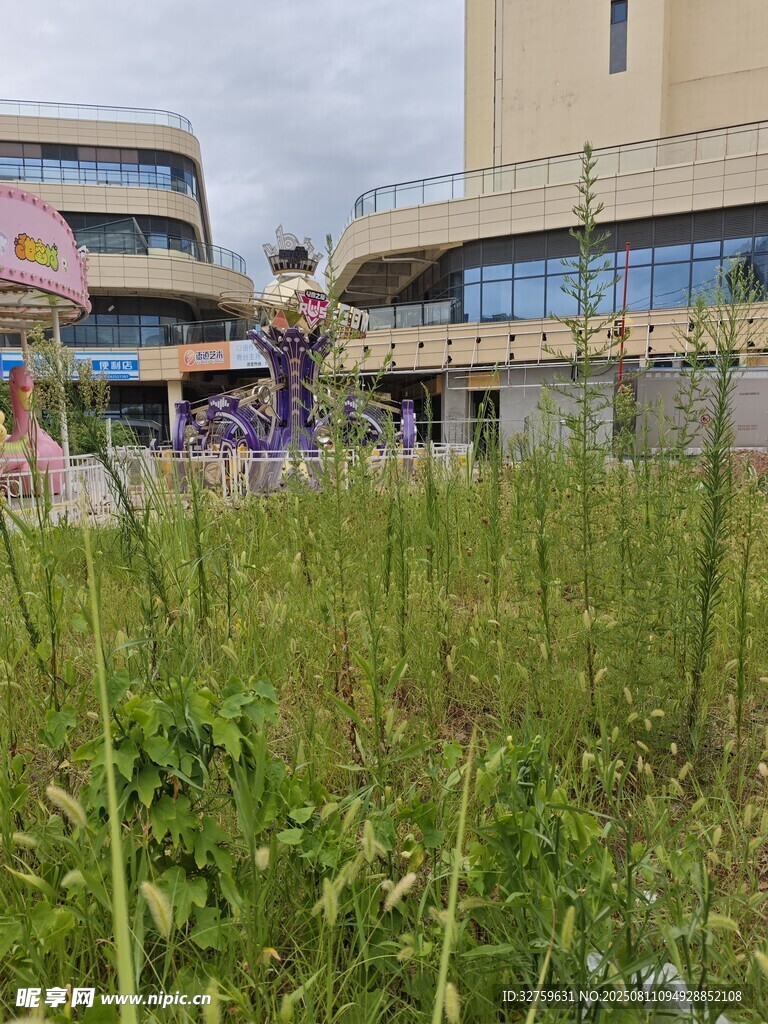 戶外草地旁的多彩建筑景觀