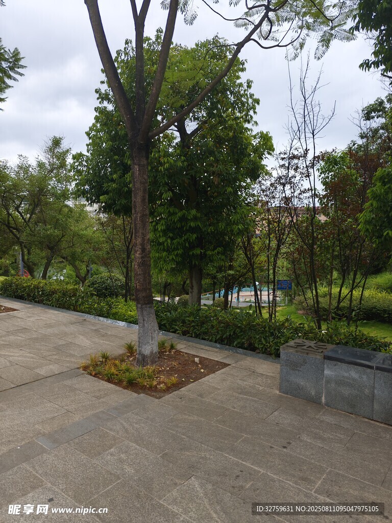 公園內(nèi)的樹木與開闊地面