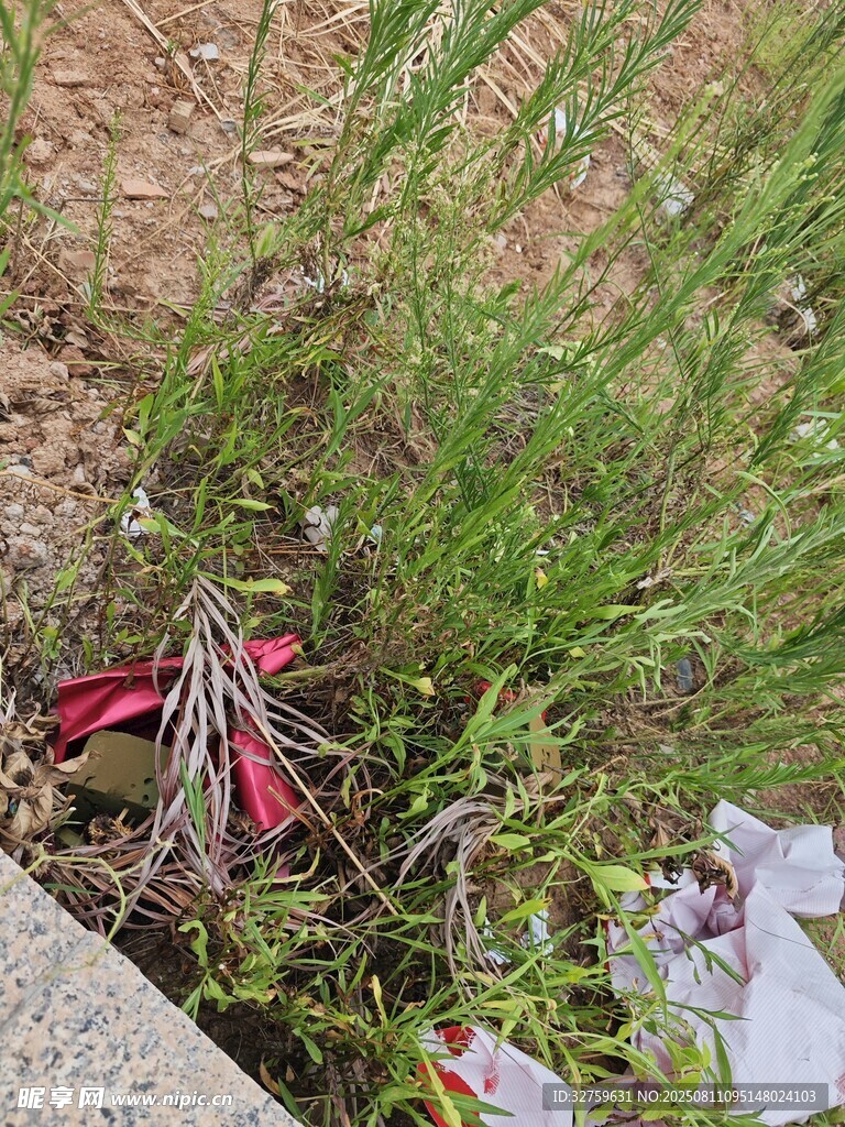 草叢中的紅色物件