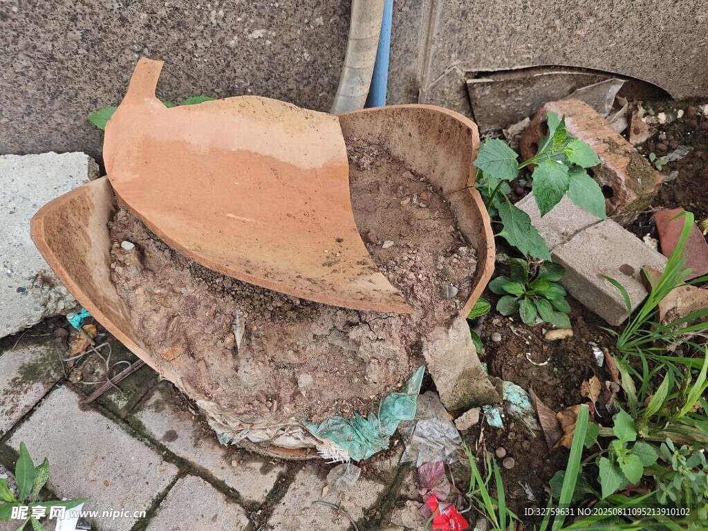 破碎陶罐躺于磚石綠植間