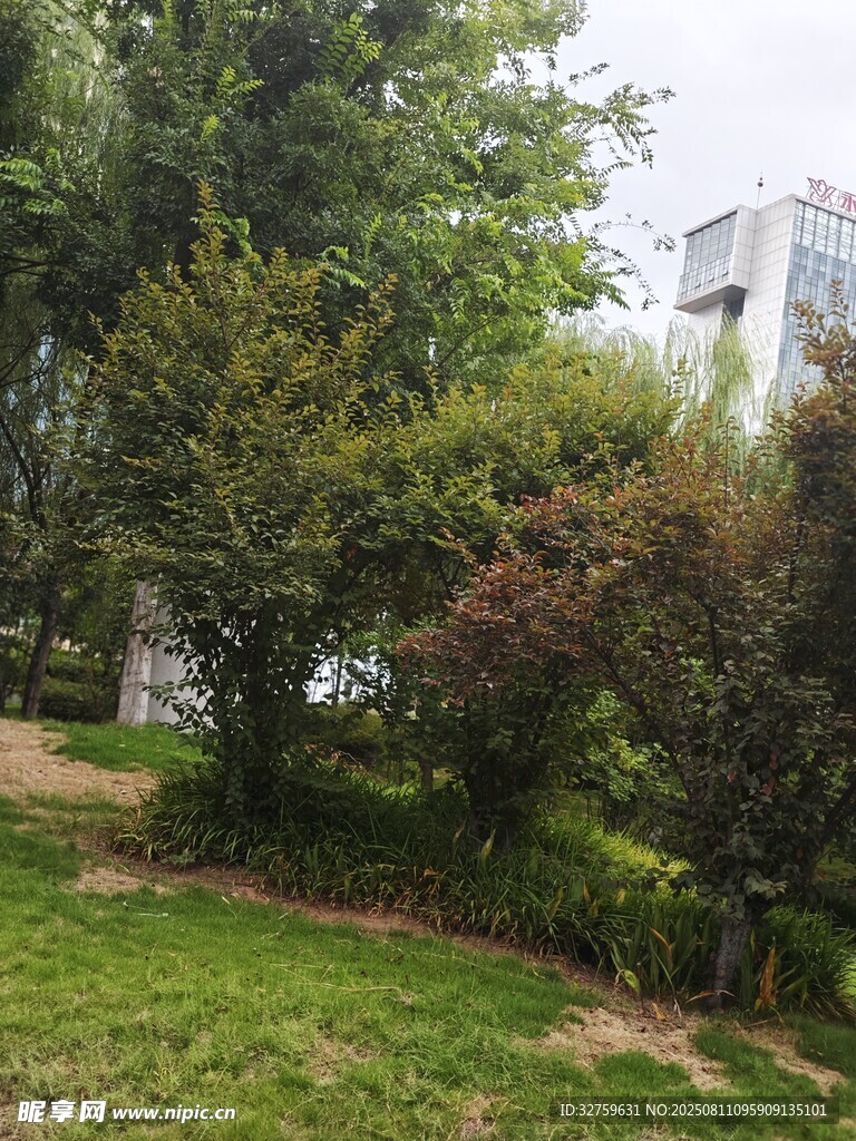 綠意盎然的戶(hù)外園林景觀