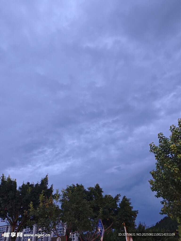 烏云下的樹(shù)林景觀