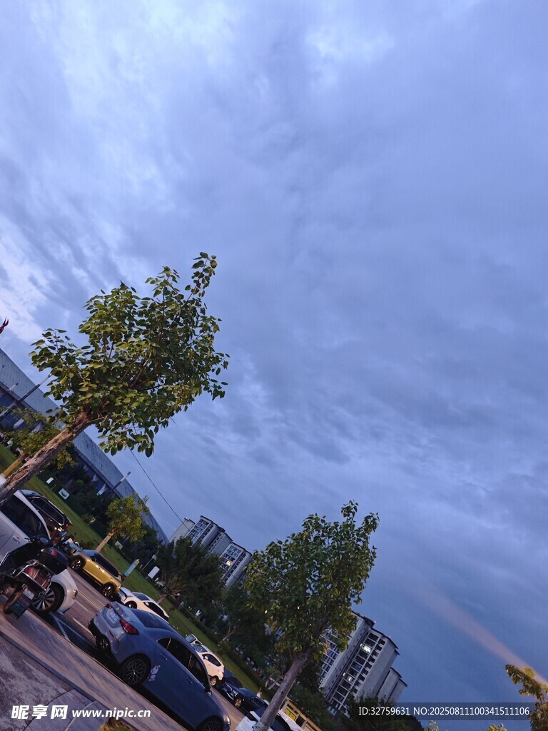 城市天空下的綠樹(shù)與車(chē)輛