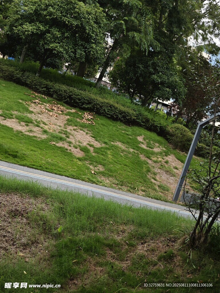 公園草地旁的小徑