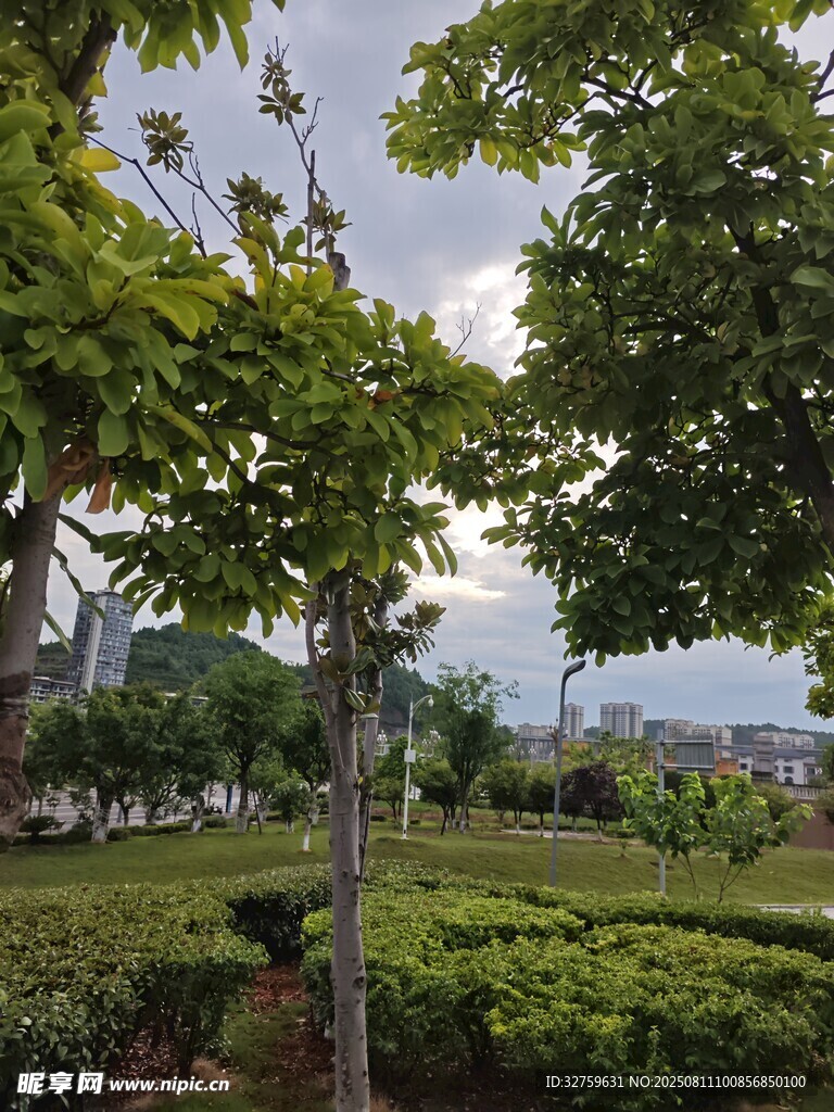 園林綠植景觀