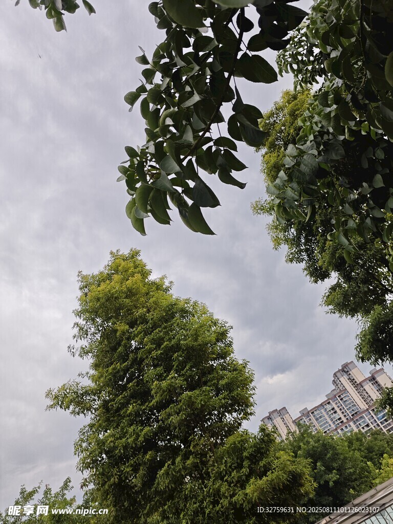 綠樹掩映下的古建筑