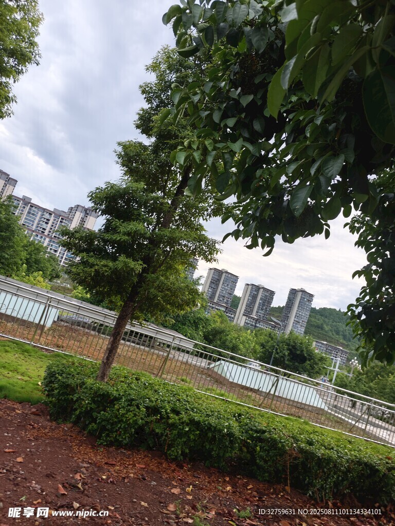 城市公園綠樹(shù)景觀