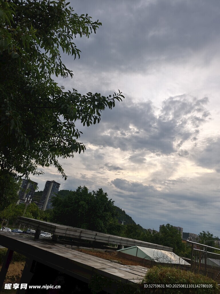 戶外風(fēng)景中的樹木與天空
