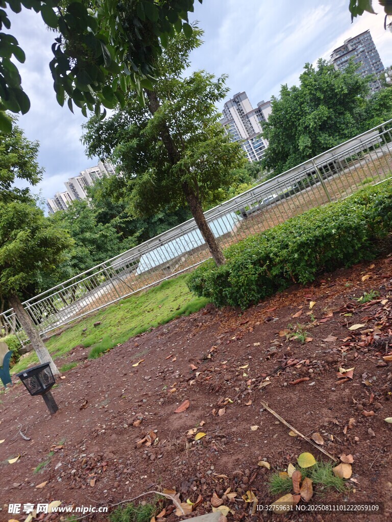公園內(nèi)的綠植與落葉場(chǎng)景