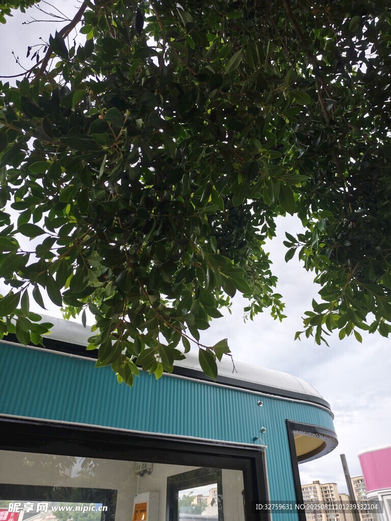 綠蔭下的藍(lán)頂建筑一角