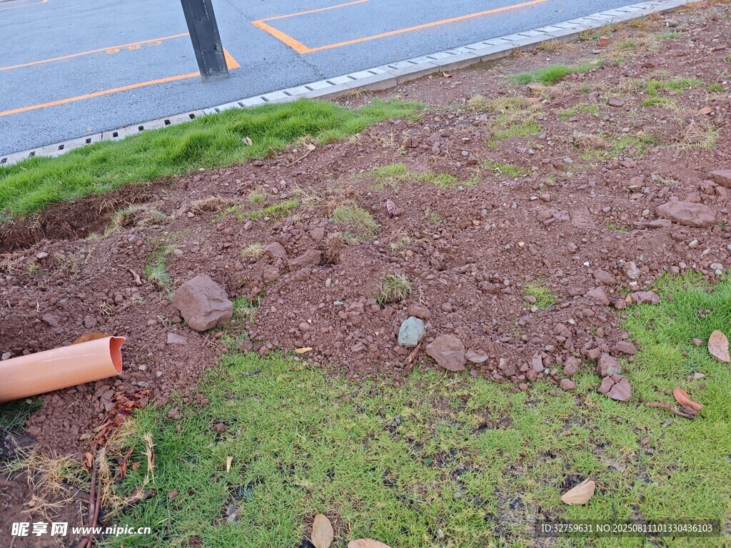 路邊泥土草地場景