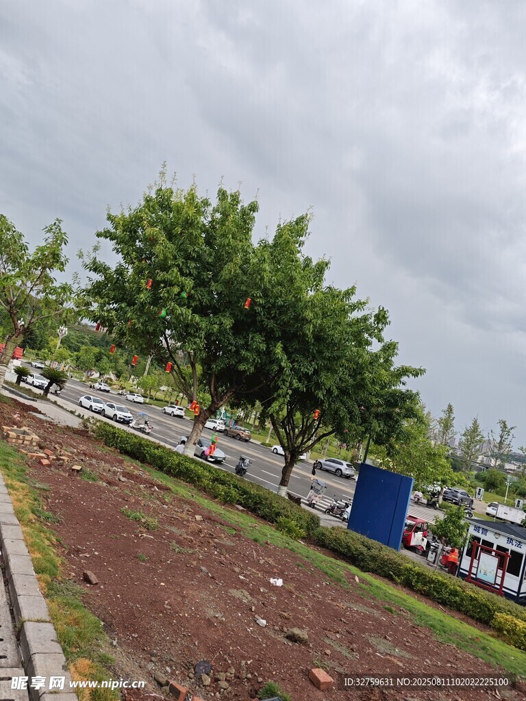 戶外道路旁的綠樹(shù)與空地