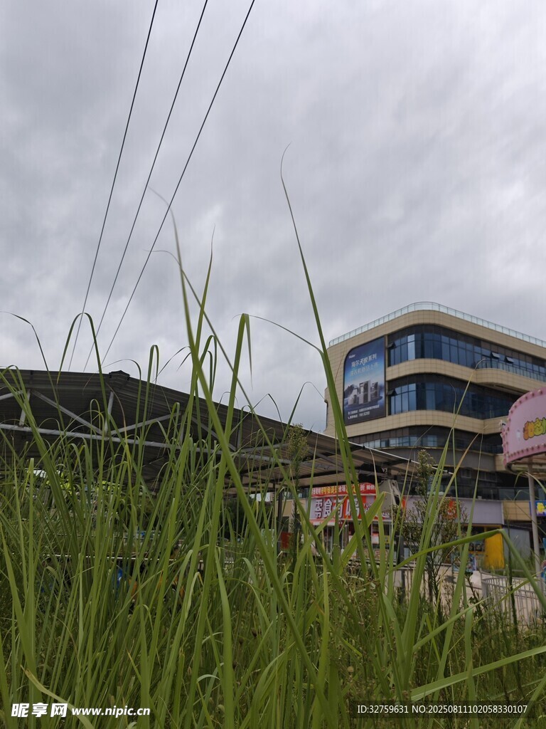 草地旁的現(xiàn)代建筑景觀