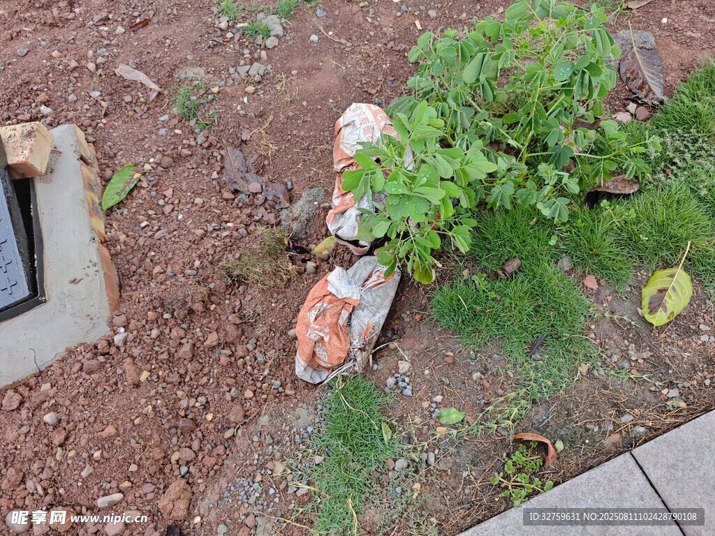 地面上的綠植與園藝工具