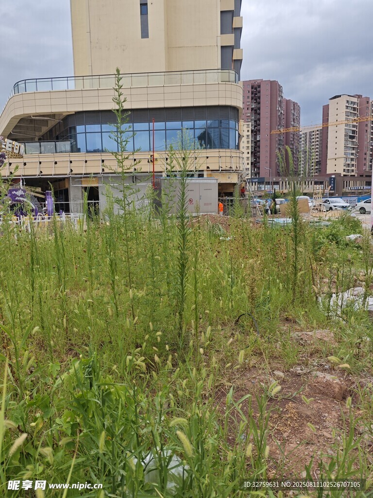 城市中荒廢草地與建筑景觀