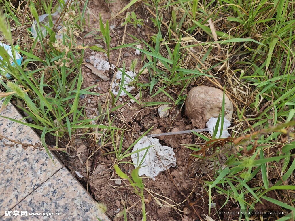 路邊草叢中的石塊