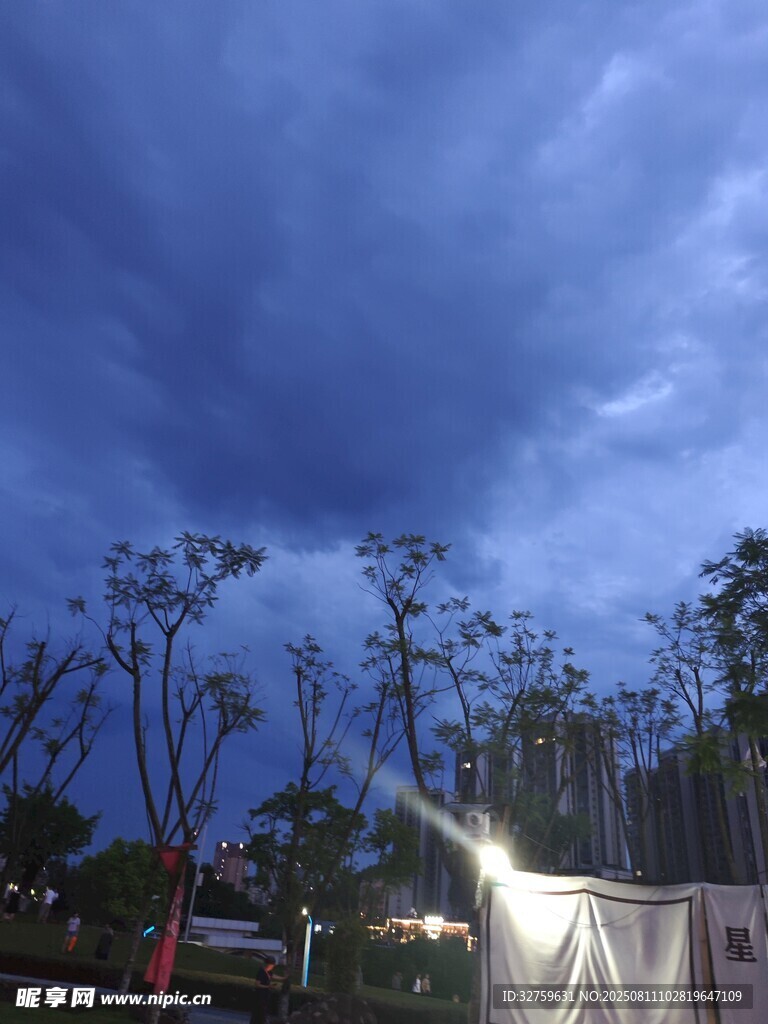 烏云籠罩下的樹木場(chǎng)景
