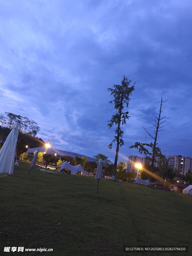 夜幕下的戶外草地與樹木