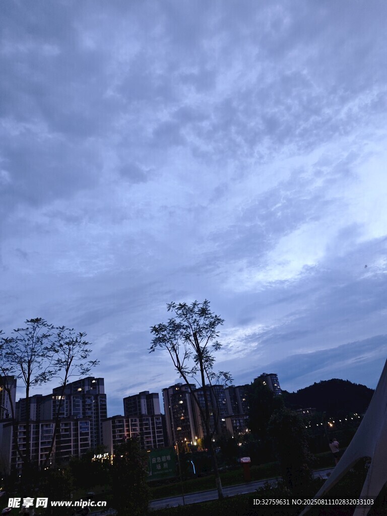 傍晚城市天空下的樹木景觀