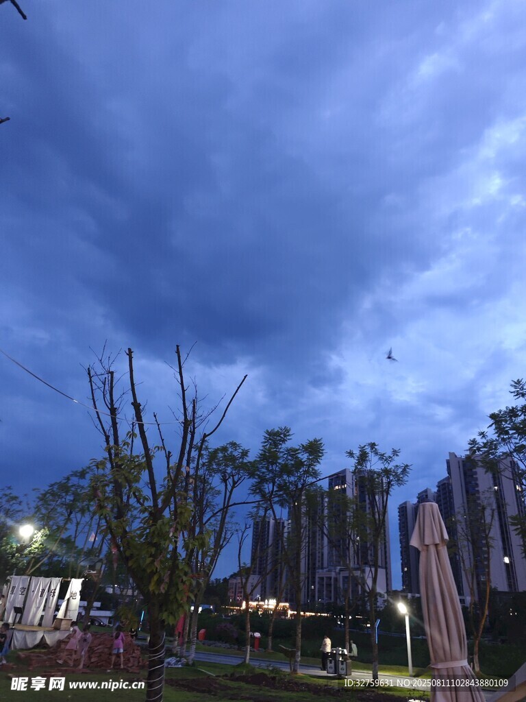 夜幕下的植物景觀