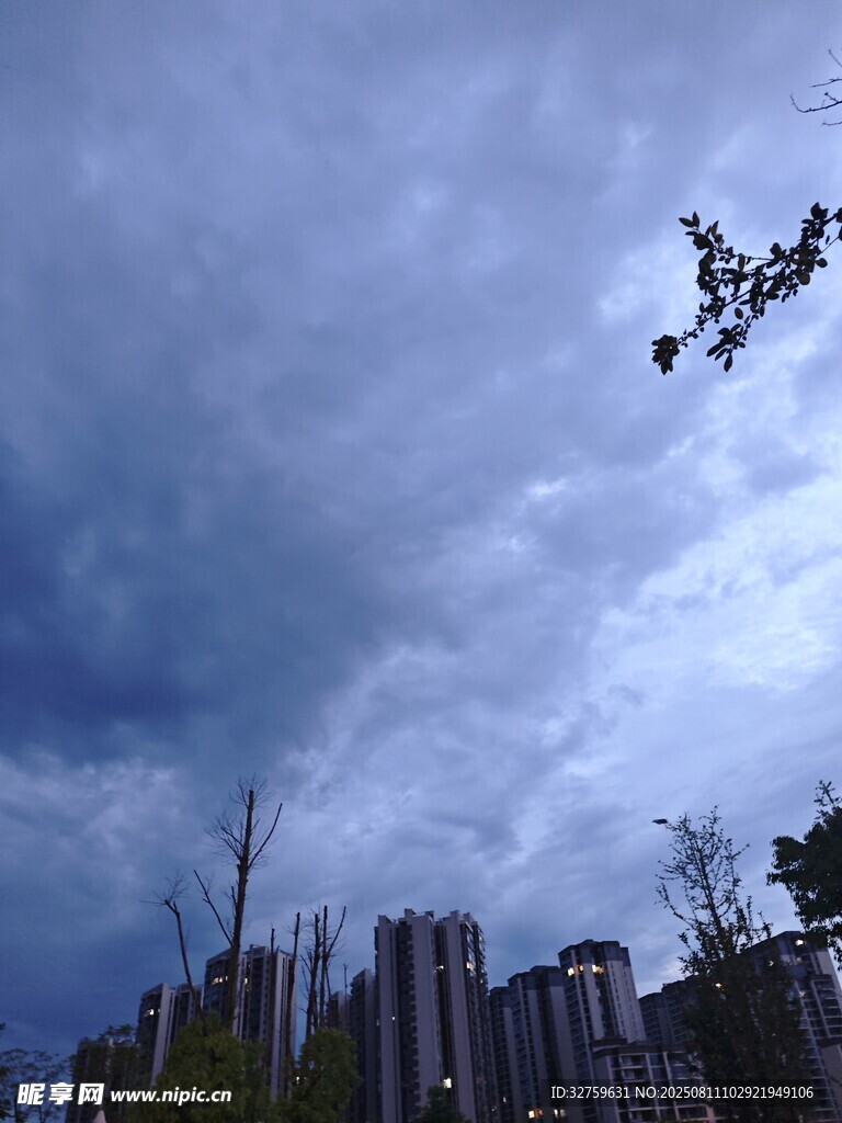 烏云下的城市與枝頭