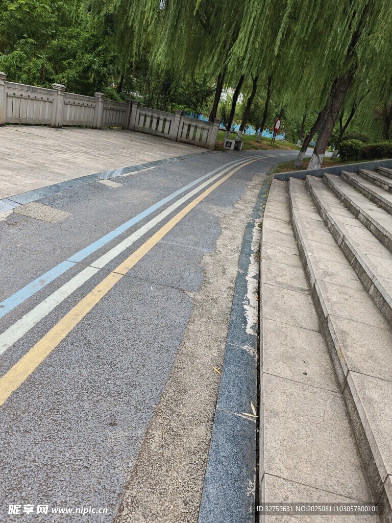 雨后道路與垂柳景觀