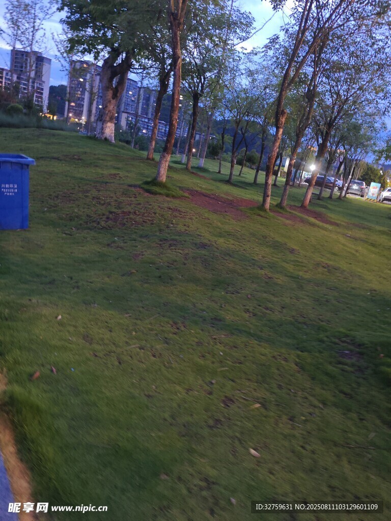城市公園草地與樹(shù)木景觀