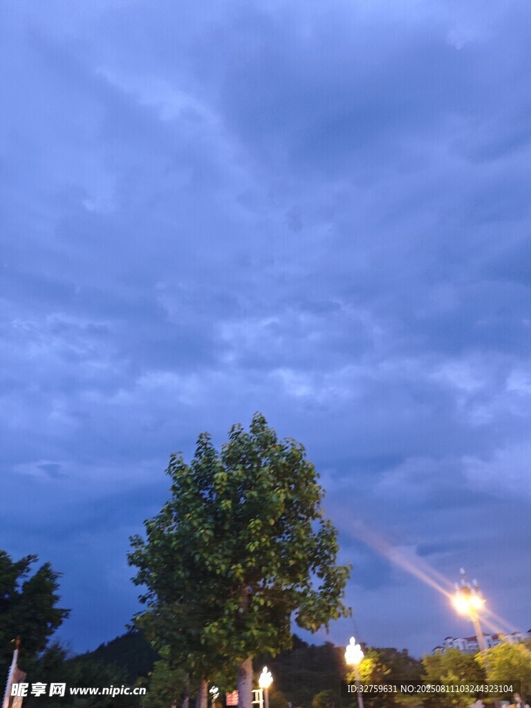 夜幕下的樹(shù)木與天空