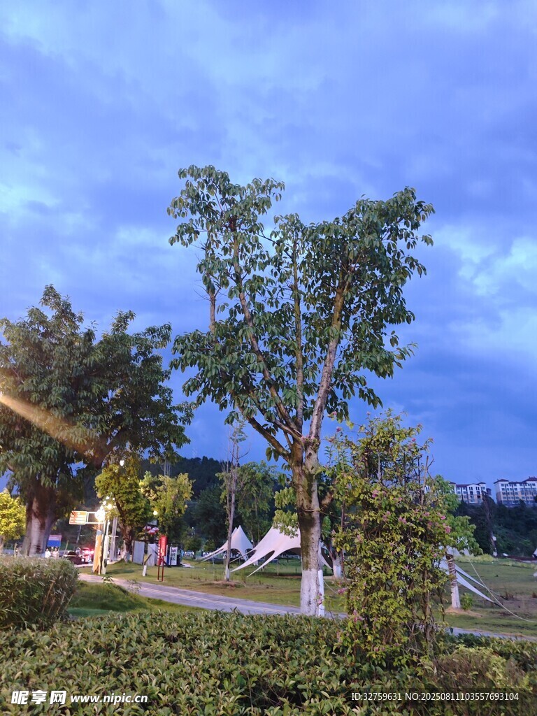 黃昏公園景色